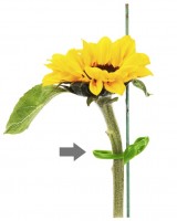 Ultimate Plant Clips