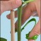 plant_clip_hand1