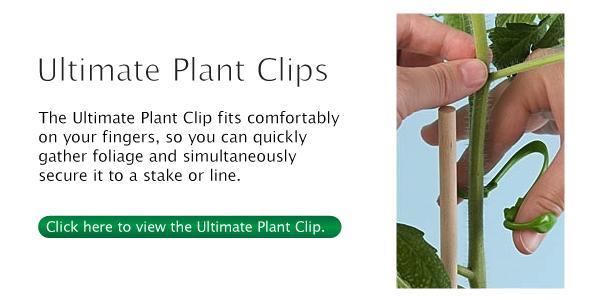 Ultimate Plant Clips Ultimate Plant Clips