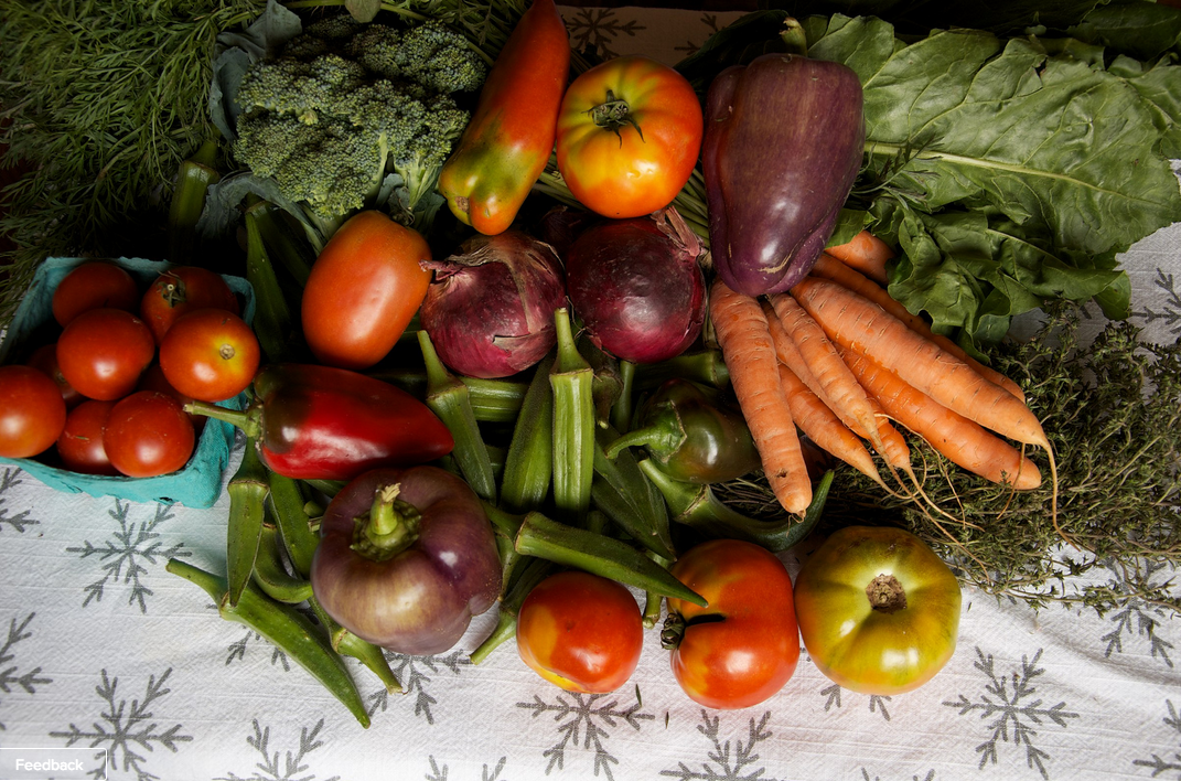 5 Tips For Getting Your Garden Ready For Spring Planting