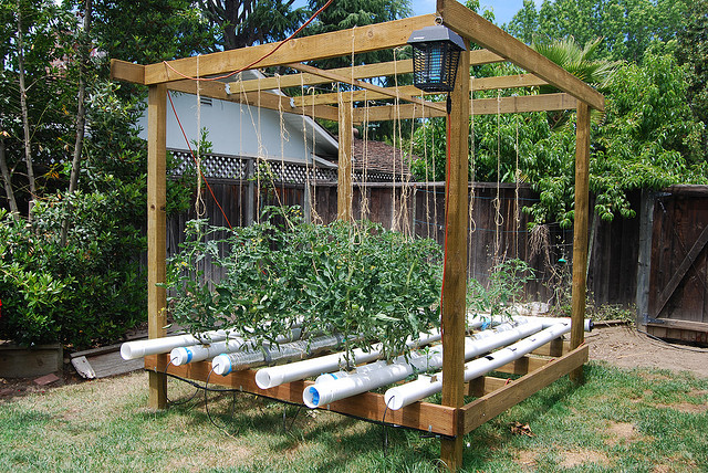 Hydroponics – the Past, Present, and Future | Global ...