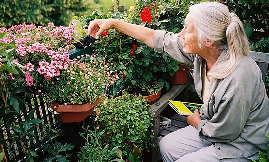 Mulching Musts Creating A Sustainable Garden At Home Global Garden Friends Inc