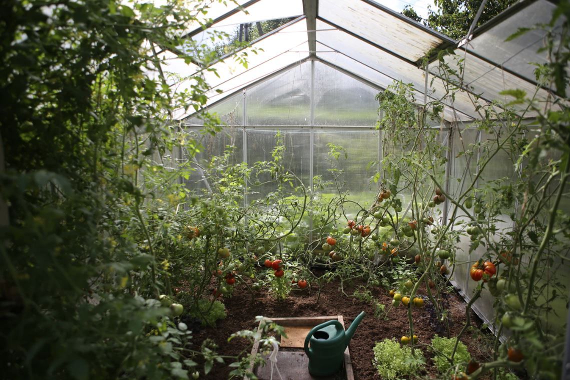 How to Build a Backyard Greenhouse for Year-Round ...
