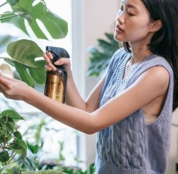 Sick Plant Baby? Here Are 3 Diagnoses and Remedies