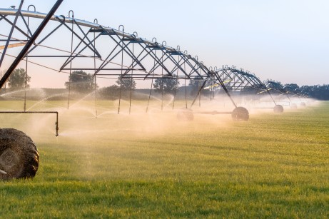 Irrigation system for agriculture, in order to promote the growt