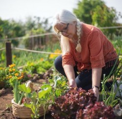 Beginner’s Guide to Growing Your Own Vegetable Garden