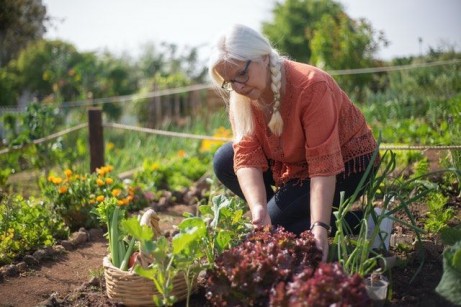 Beginner's Guide to Growing Your Own Vegetable Garden