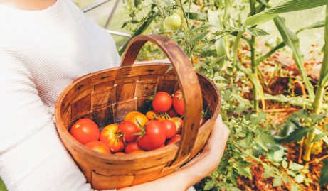 Harvest Time_ How To Prep Your Garden’s Bounty