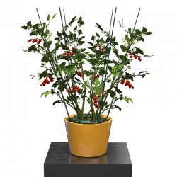 The Ultimate Plant Cage, one of the newest plant cages to hit the market.