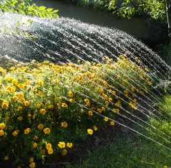 Ways to Improve Your Yard’s Water System This Spring