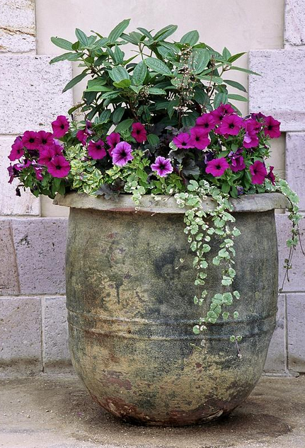 Planter Ideas For Your Garden Patio, Patio Flower Pots Ideas