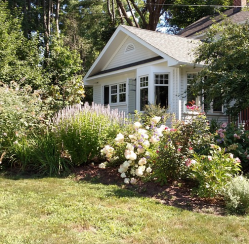 How to Make Your Yard More Drought Tolerant This Summer