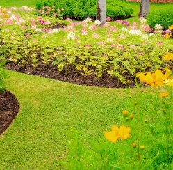 How to Really Beautify Your Yard With Fantastic Landscaping