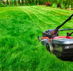 Ways to Maintain Your Lawn and the Tools You Need to Do So