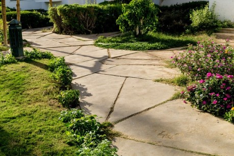 How to Integrate Softscaping With Hardscaping in Your Yard