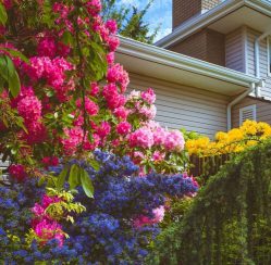 4 Landscaping Features To Accent Your Garden