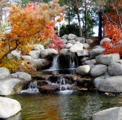 Waterfalls, Koi Ponds, And More: Backyard Designs That Will Blow You Out Of The Water